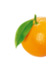 citrus